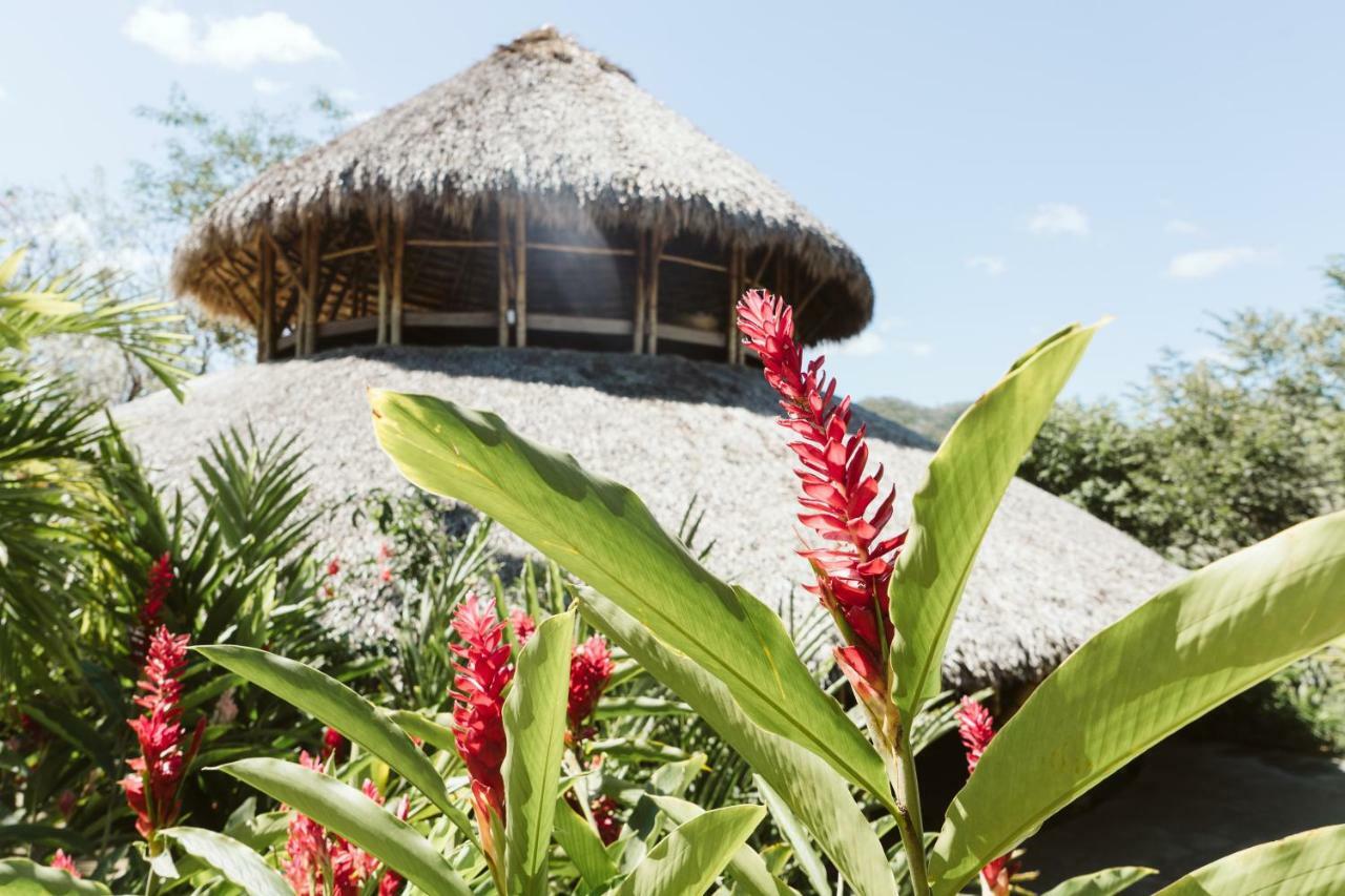 Dreamsea Surf Resort Nicaragua Сан-Хуан-дель-Сур Экстерьер фото